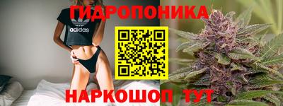прущие крисы Донецк