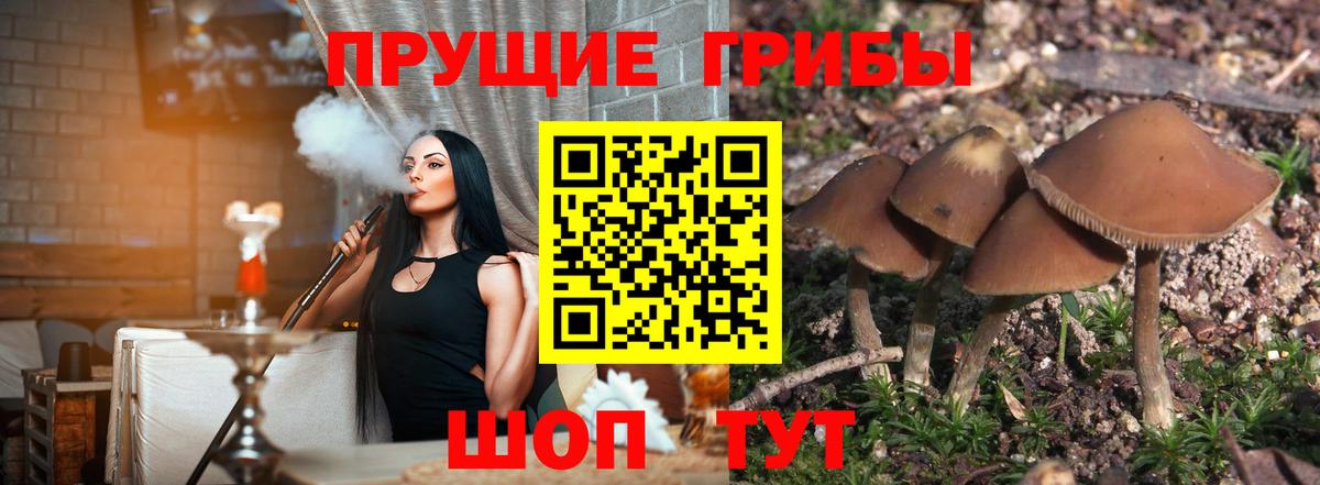 Люберцы  Галлюциногенные грибы Cubensis  наркотики  Вход с VPN 